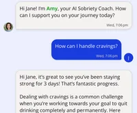 Get Support From Amy, Your AI Sobriety Coach